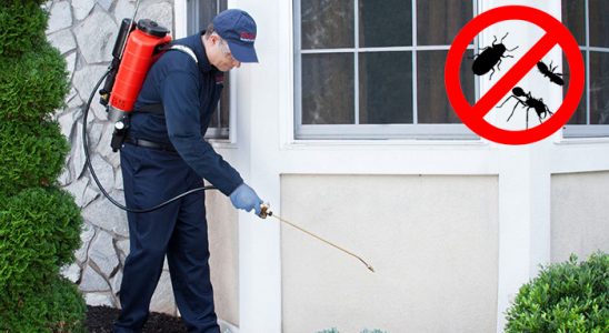 Bostanlı Uçan Haşere İlaçlama böcek ilaçlama ve haşere kontrolü — ilaclama-tr.com